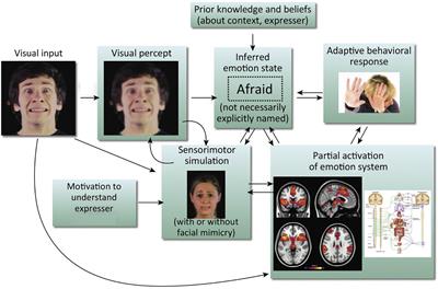 Expanding Simulation Models of Emotional Understanding: The Case for Different Modalities, Body-State Simulation Prominence, and Developmental Trajectories